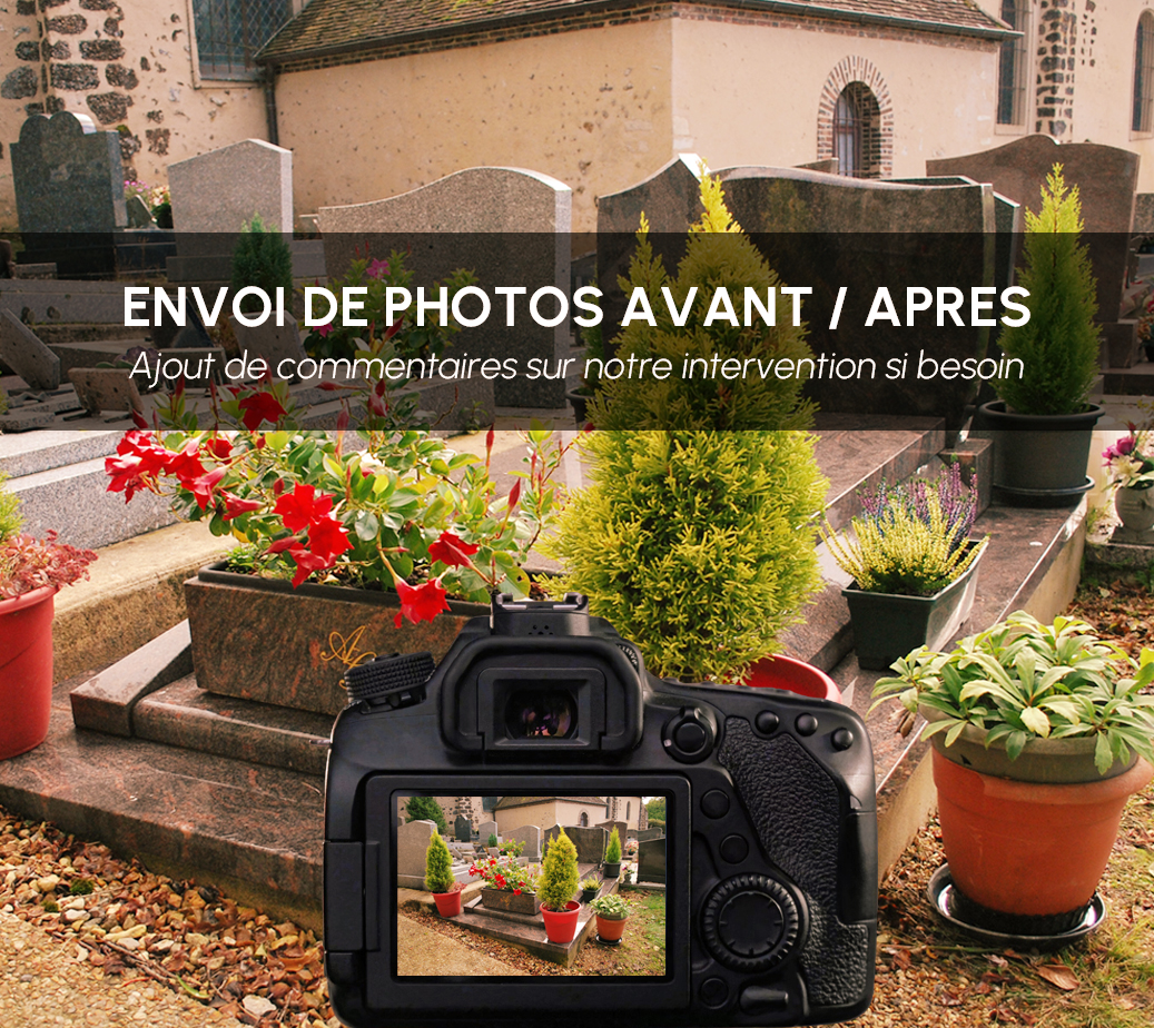 Photos avant / après